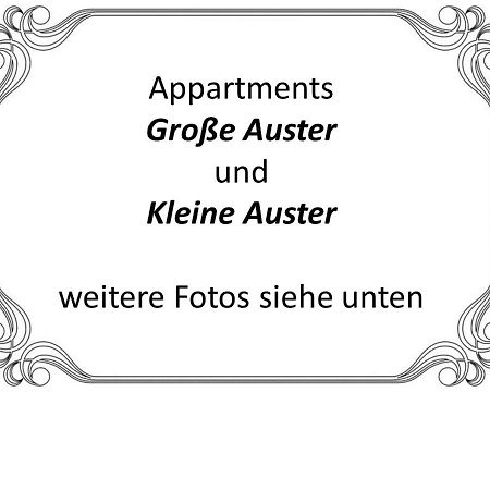 Auster-Appartements Sarrebruck Exterior foto
